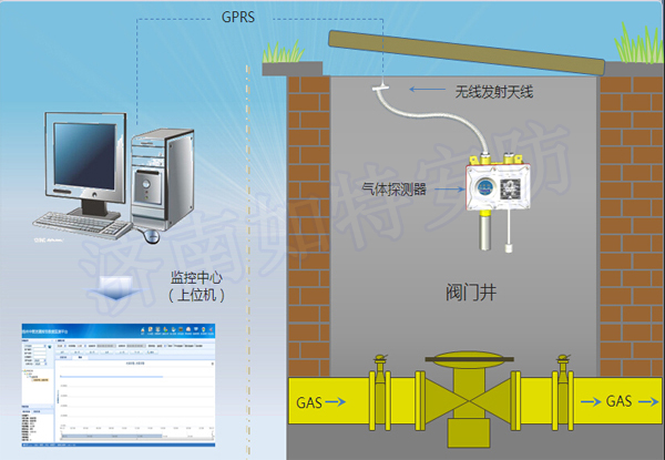 SST-D型气体探测器(图1)